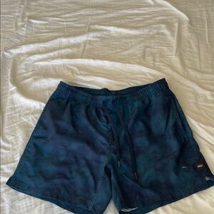 Vans Men's Deep Blue Board Shorts